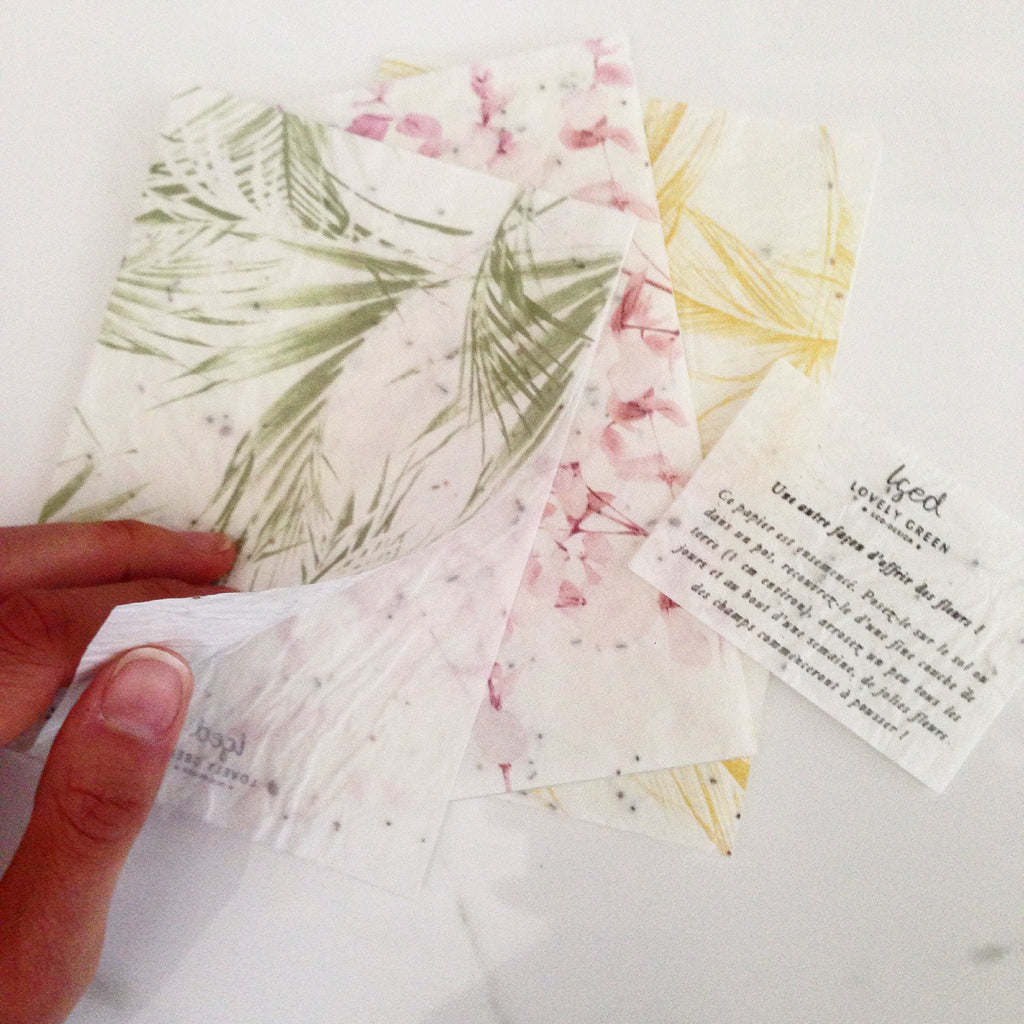 CARTE PALMIERS